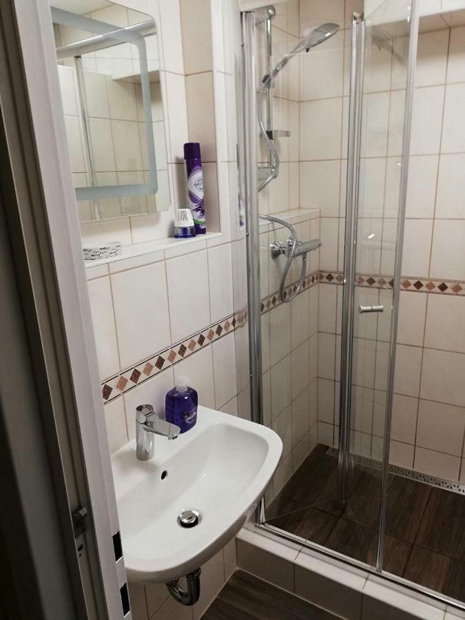 טאופליץ Appartement Bergblick מראה חיצוני תמונה